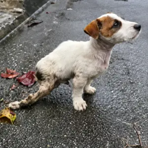 Abandoned in the Rain With No Way to Escape