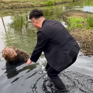 He Found a Dog Trapped in Deep Mud