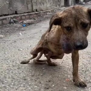 He Was Left to Die Alone on the Street