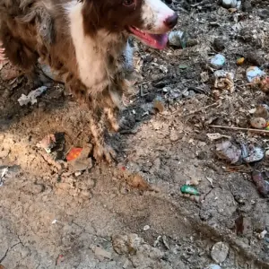 They Found Him Beside the Trash